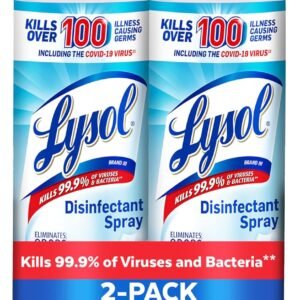 Lysol Disinfectant Spray