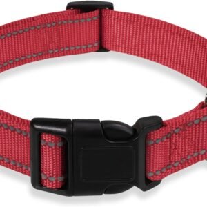 Small Dog Collar