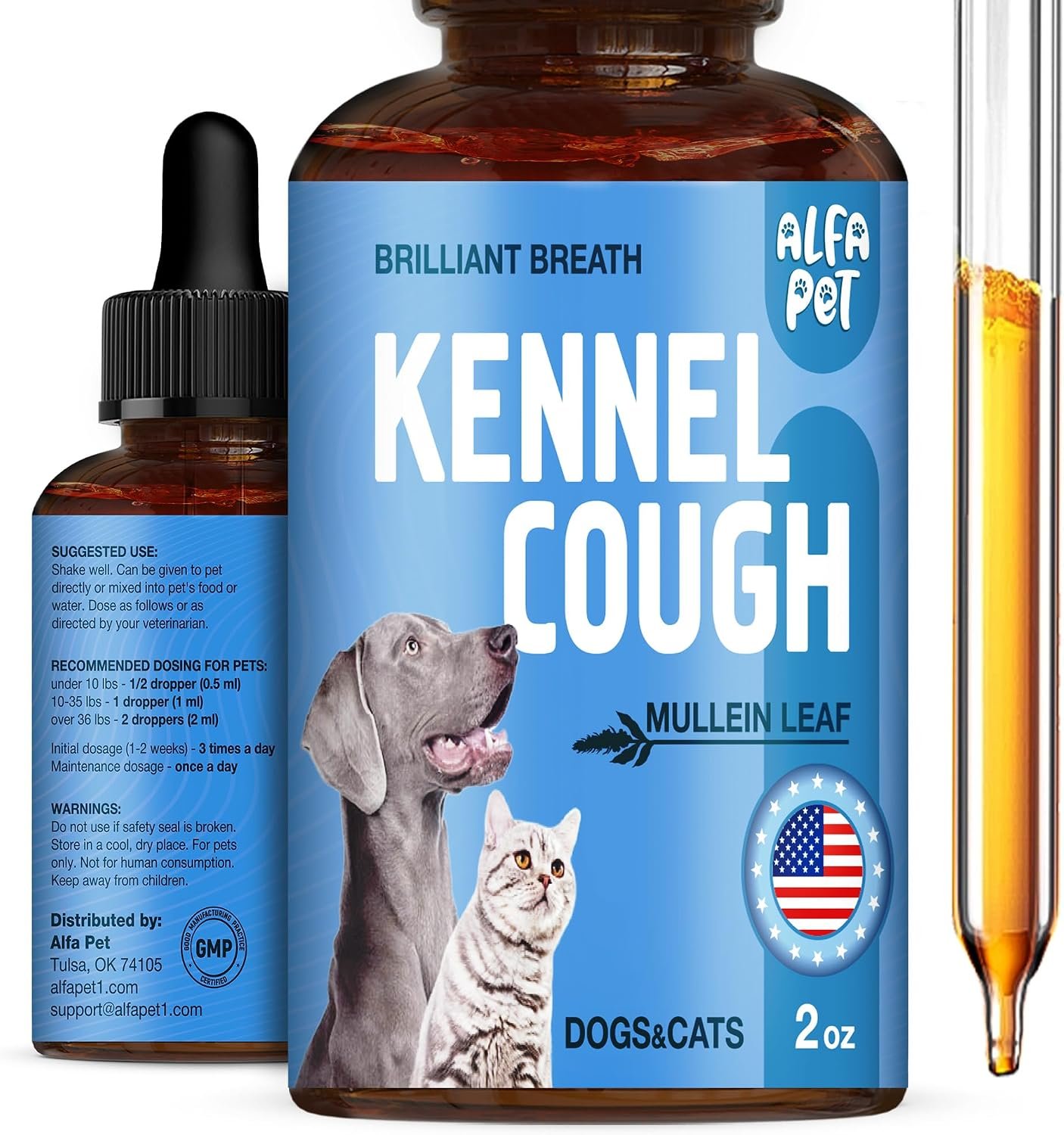Kennel Cough
