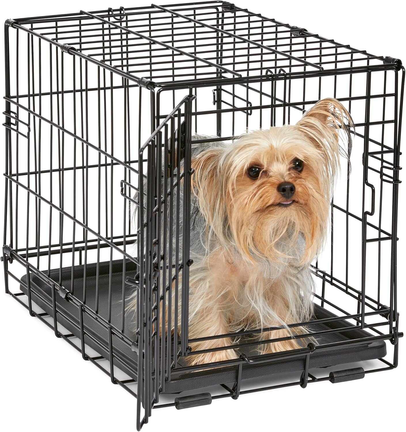 Dog Gage Small